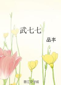 武七七品丰提取码