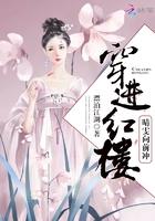 穿越红楼王夫人晴雯