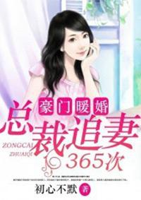 豪门追爱总裁