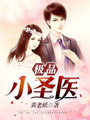 极品小圣医秦小逸