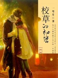 校草的秘密玩具