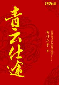 阳光的青云之路