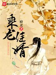 乘龙佳婿准确打一肖