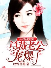 闪婚甜总裁老公宠不停