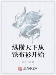 纵横天下从铁布衫开始免费