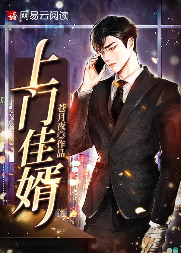 上门佳婿电视剧