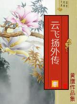 武侠片云飞扬是哪部电影