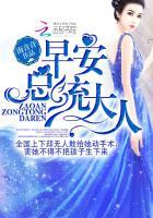 夏星辰白夜擎是什么