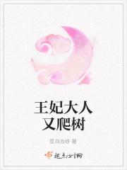王妃又爬墙跑了全文