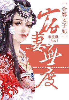 宠妻无度一金牌相公