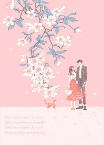 沐青婈宋文朝全文免费阅读