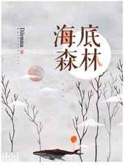 海底森林这篇短文从哪几个方面介绍了海底森林