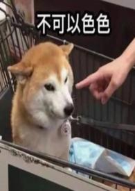 穿成年代文里恶毒女配时光再笑