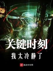 关键时刻辅助
