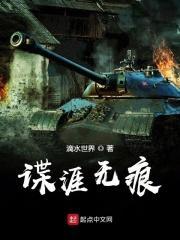 谍无痕 谍战