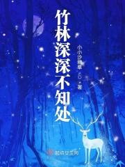 竹林深深深几许