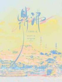 鼎沸盛意的意思