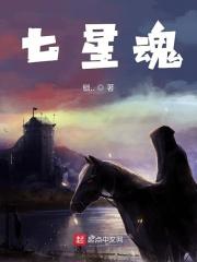 七星封魂图案