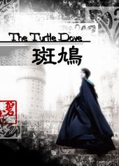 斑鸠 ikaruga