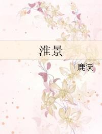 沈琴心盛淮景