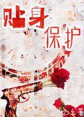 贴身保护电影简介