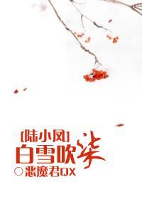 白风雪陆叶免费阅读