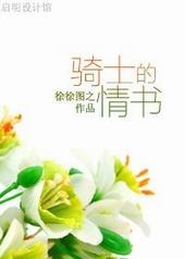 骑士的情书王齐是洁吗