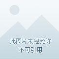 天境之阵选择