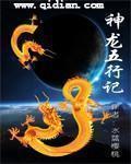 神五龙厉害吗