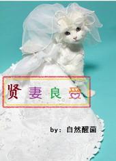贤妻良母前一句是什么
