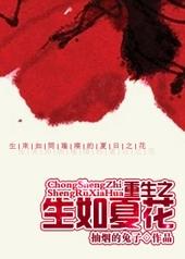 重生之生如夏花TXT
