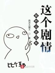 我的过去段子