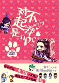 对不起我是npc百度