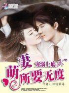 宠爱成瘾萌妻不好惹免费阅读全文