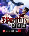 我家地下迷宫