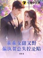 乖乖 简介贺酌