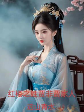 红楼之贾家大婿