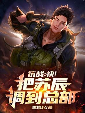 穿越抗战主角苏阳