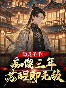 隐龙龙三少