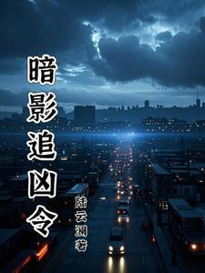 暗夜追凶在线阅读