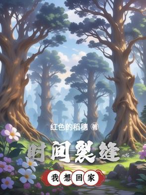 电影时间裂缝