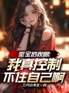 透视眼鉴宝风流