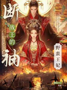 断袖王爷的绝品男妃免费