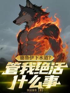 德鲁伊走什么路线好