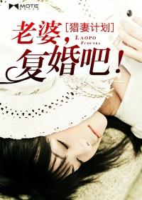 猎妻计划老婆复婚吧全文免费阅读