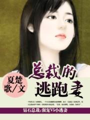总裁的逃婚小妻全文免费阅读全文
