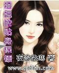 姐姐的贴身保镖漫画