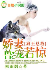狼总裁的娇宠