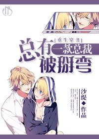 总有一个总裁会被掰弯