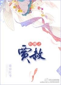 红楼之贾赦长子免费阅读